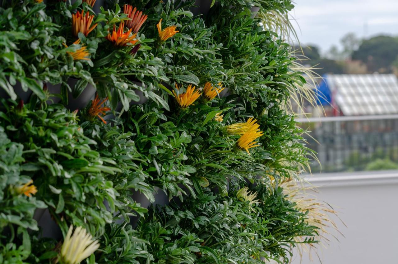 Turim Boulevard Hotel (Adults Only) Lisbona Esterno foto The photo shows a vertical garden or green wall featuring dense greenery with various plants. Among the lush green foliage, there are bright yellow and orange flowers blooming, adding a vibrant touch to the overall appearance. The garden is likely de